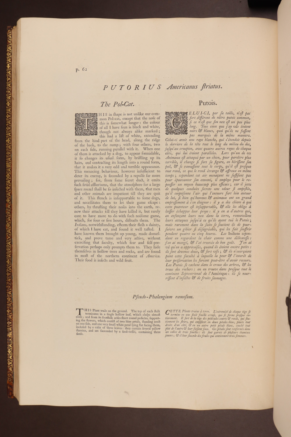 Page 62
